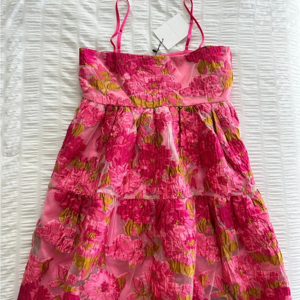 Endless Rose Organza Floral Mini Dress
